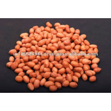 Whole Peanut Kernel Exporter